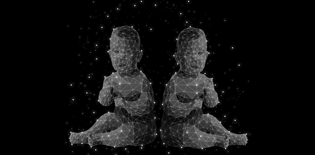 双子の赤ちゃん、DNA鑑定で父親が別々と判明(ブラジル)