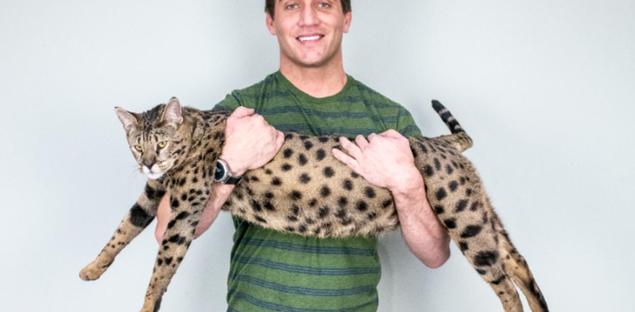 見かけたら逃げちゃうかも 世界一高身長な猫ちゃん ギズモード ジャパン