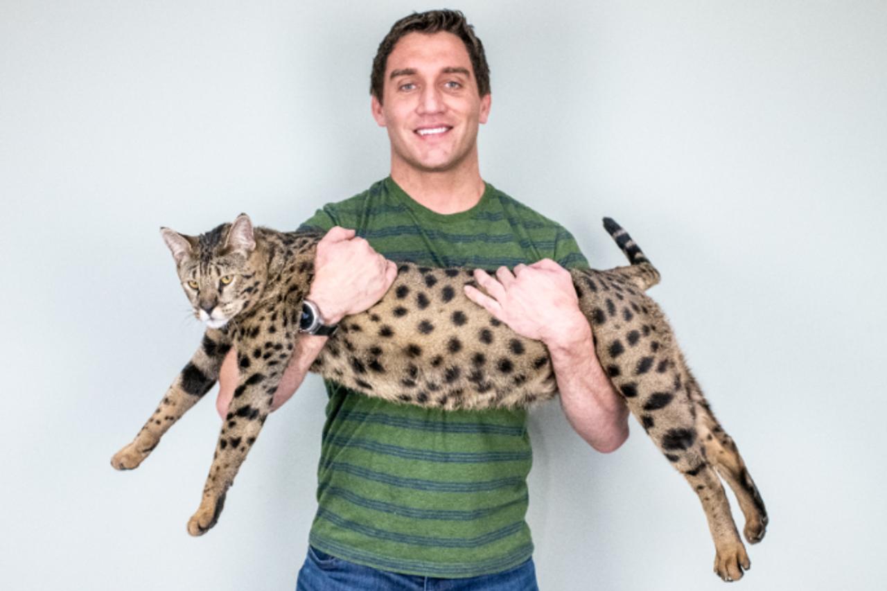 見かけたら逃げちゃうかも 世界一高身長な猫ちゃん ギズモード ジャパン 見かけたら逃げちゃうかも 世界一高身長な猫ちゃん ギズモード ジャパン