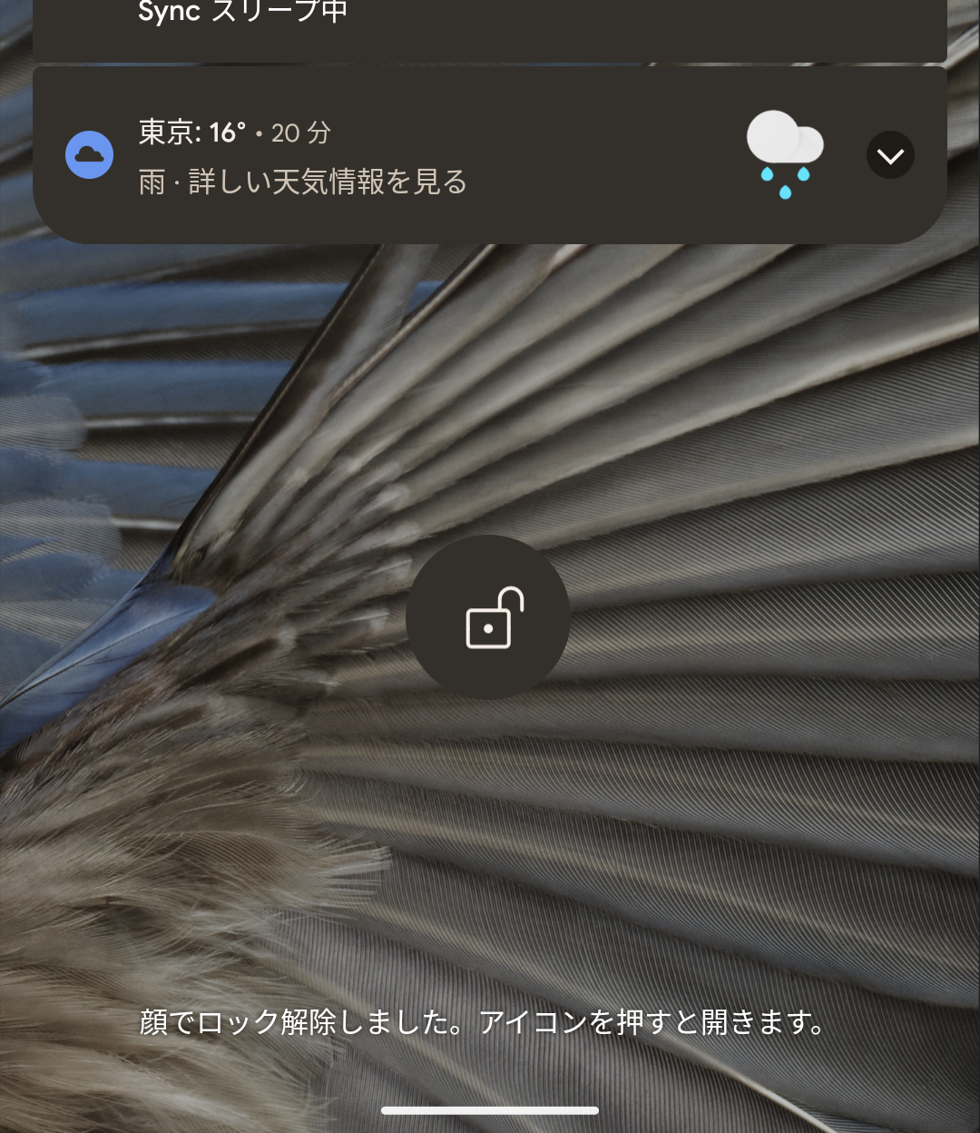 Pixel 7／7 Proの指紋＆顔認証はセキュリティー高い？ 想像以上でした