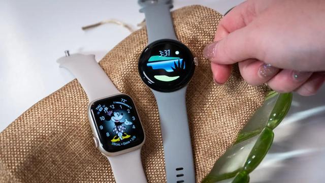 221017pixelapplewatch02