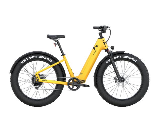 V字のステップスルーで乗り降り簡単。極太タイヤのeバイク