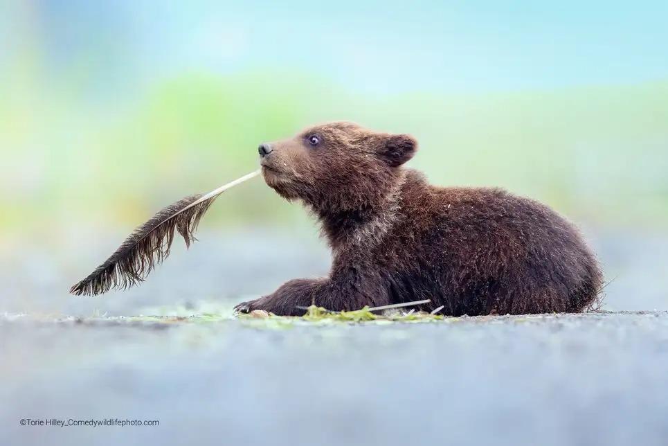 野生動物のほっこり写真、40枚！ | ギズモード・ジャパン