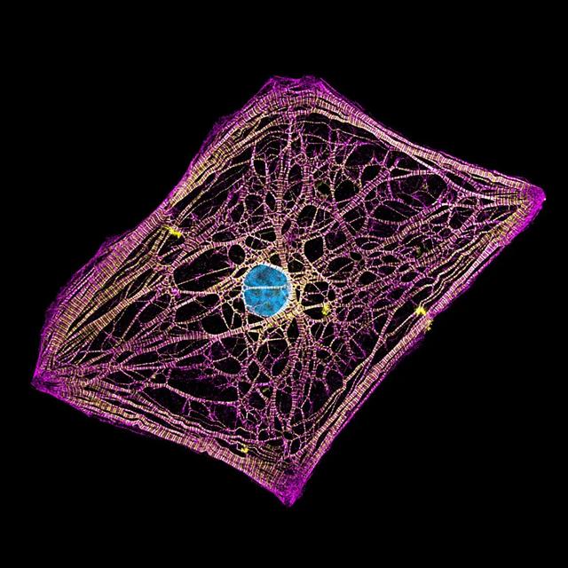 221024Microscopic11
