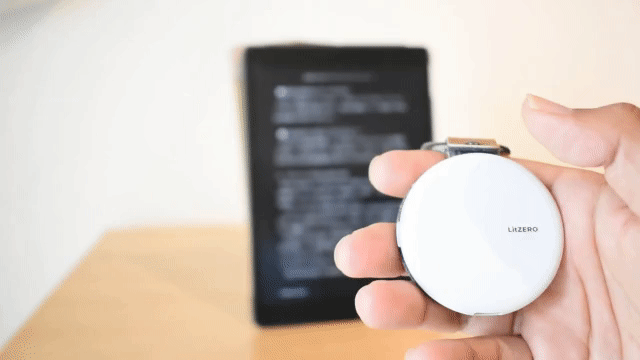 LitZERO2review206