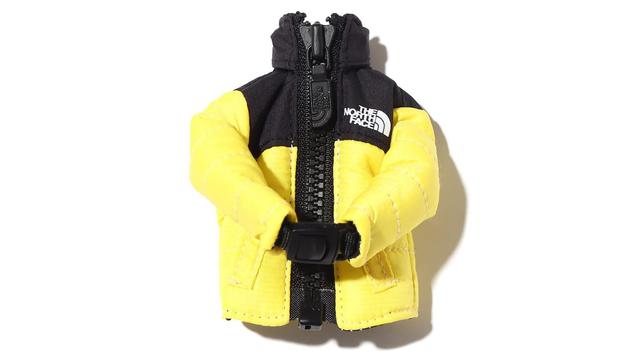 mini-tnf