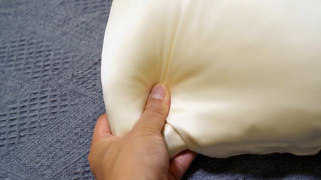 silkpillowcover06
