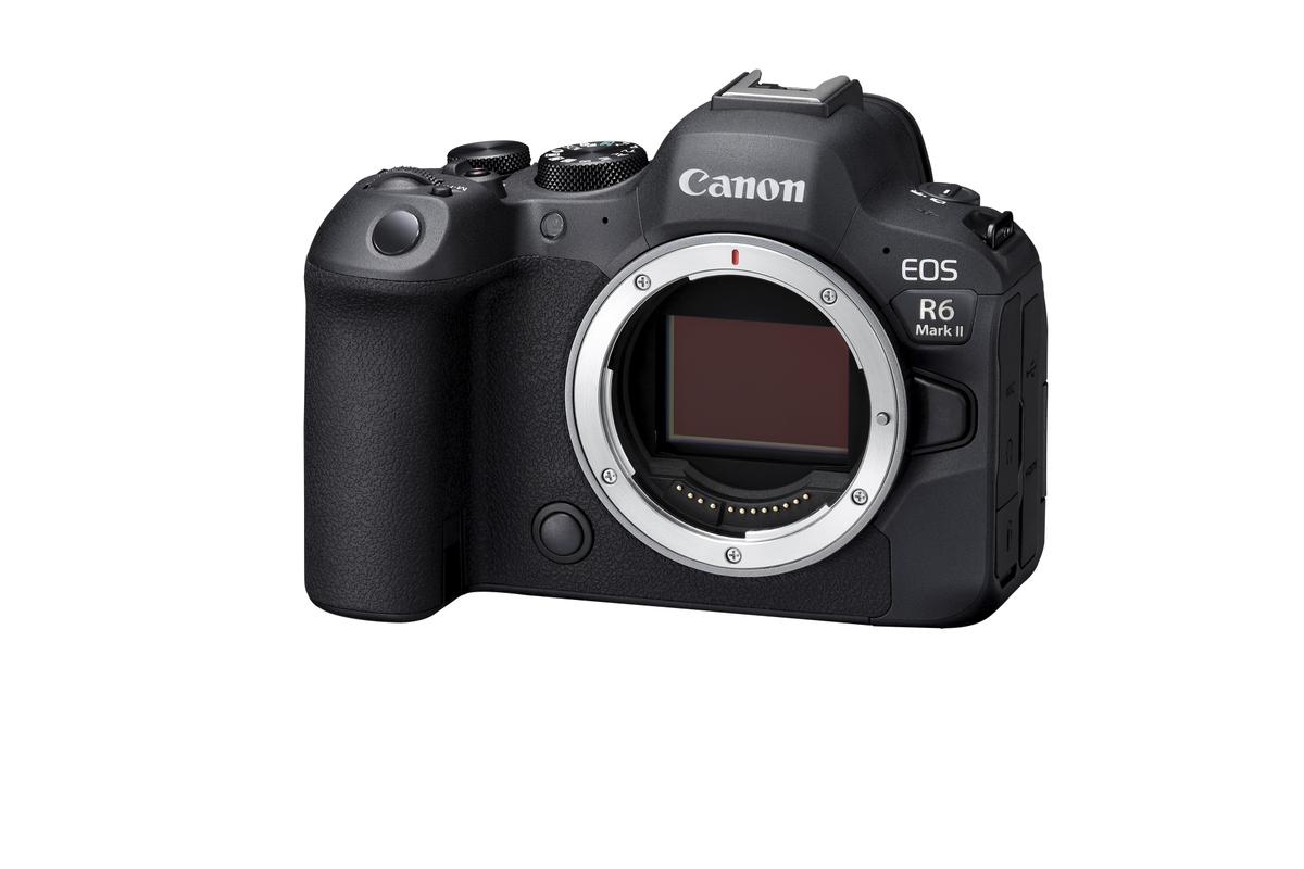 連写速度は最大約40コマ/秒！「キヤノン EOS R6 Mark II」は超 