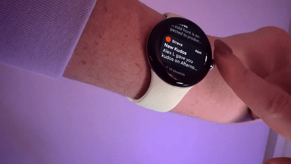 20221106PixelWatch_digital_crown_gif