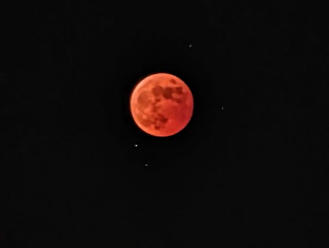PXL_20221108_111428601.NIGHT_2