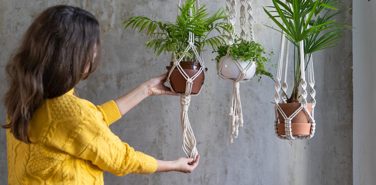 安価で手軽に 観葉植物で部屋をおしゃれに見せるdiyアイデア4選 ギズモード ジャパン
