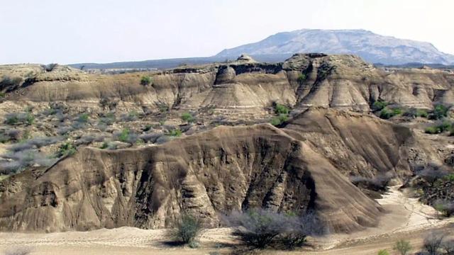 221221_2022archaeology12