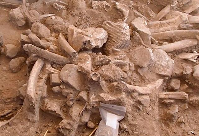 221221_2022archaeology14