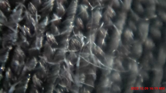 _storage_emulated_0_DCIM_Camera_20221209_055210.jpg(4)