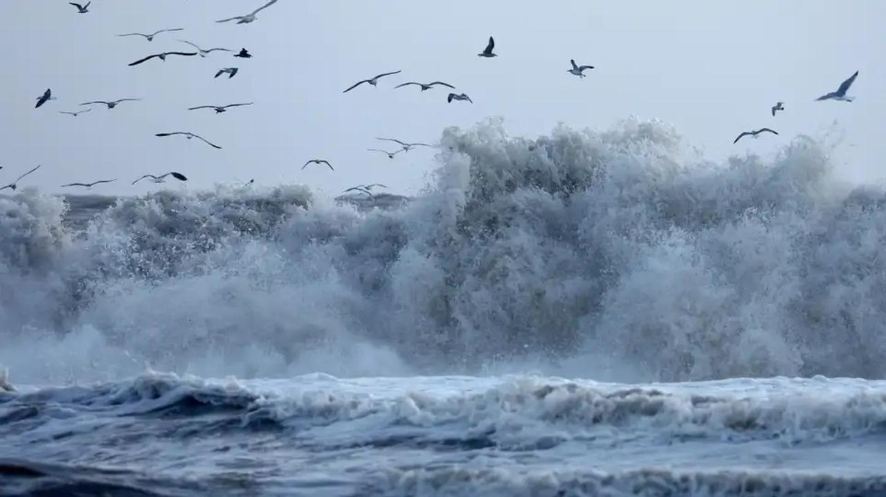 海洋温暖化が気象災害を激化させている可能性