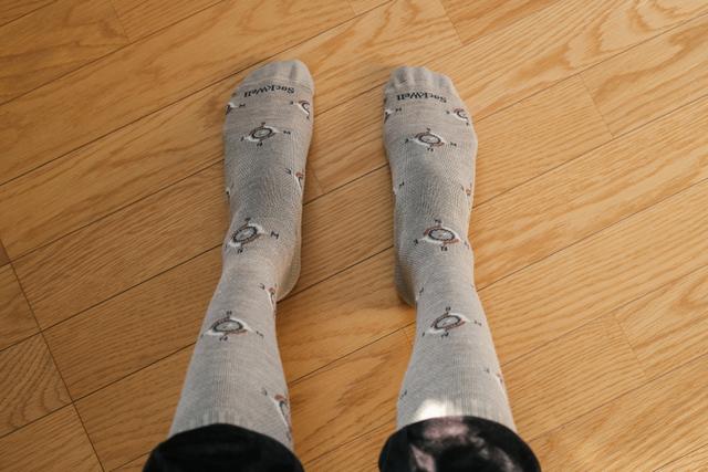 230120compsocks_02