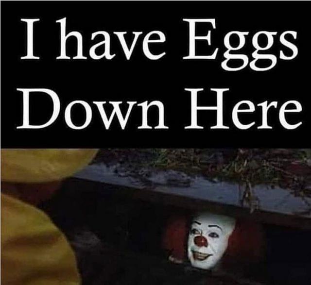 230124eggs03