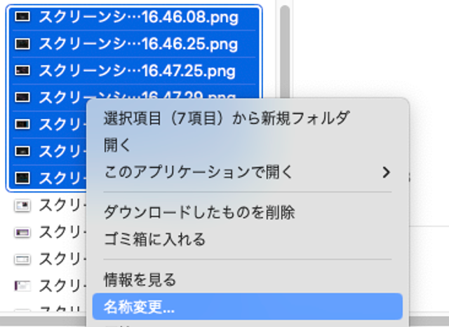 20230203_rename