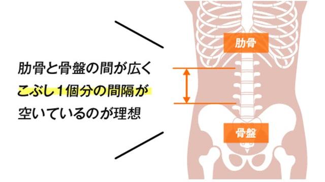 g-fitness_05