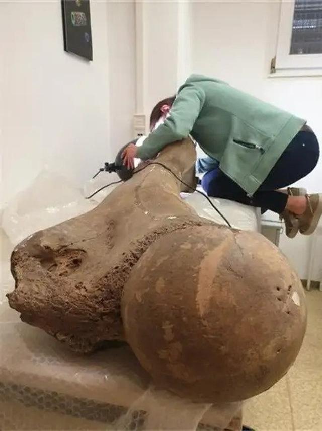 20230217_antiquus3.jpg