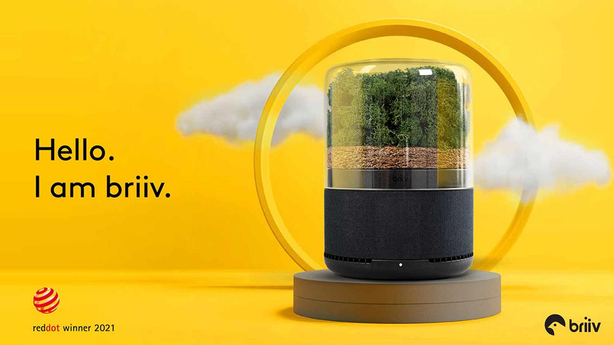 リアルな苔がフィルターになった､観賞植物みたいな空気清浄機 