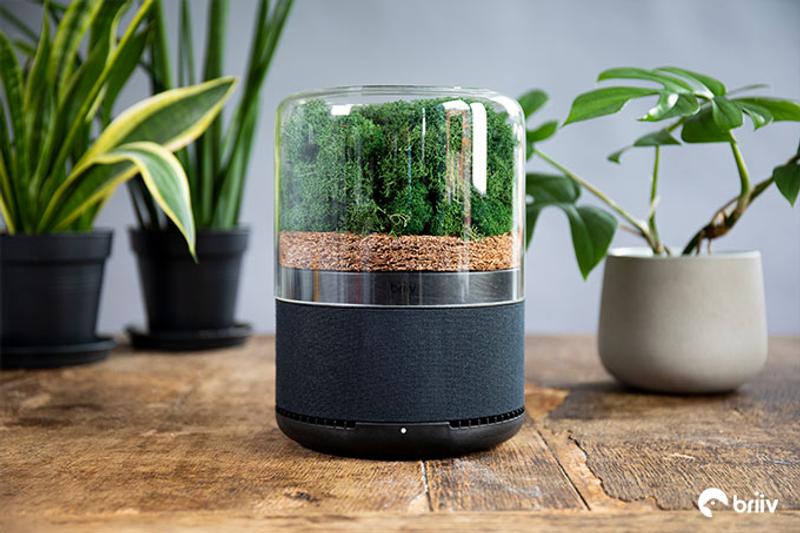 リアルな苔がフィルターになった､観賞植物みたいな空気清浄機 