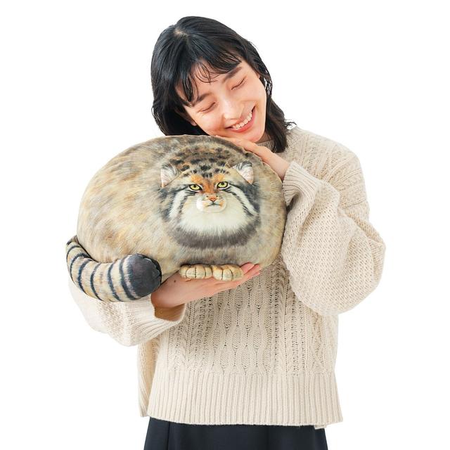 20230220_cat1.png