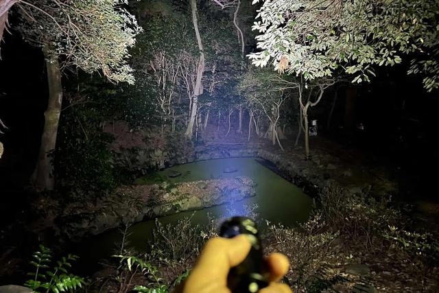 P25GTreview08