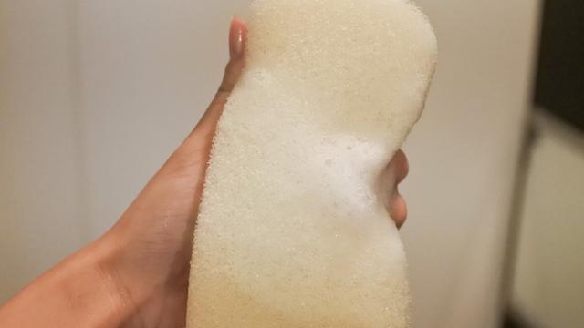 230320_marna-sponge_6