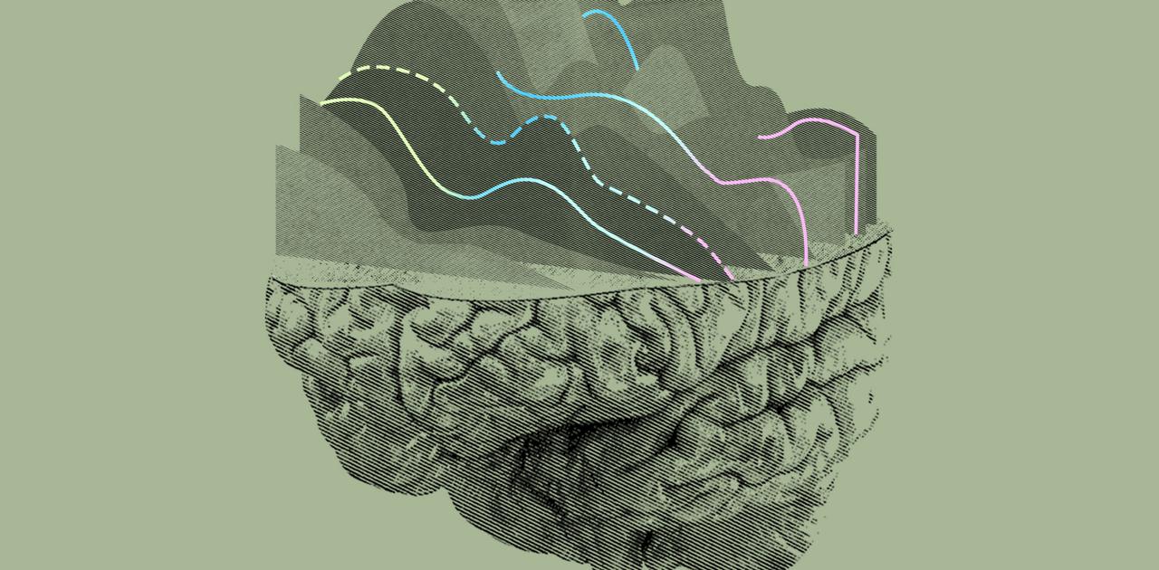 イーロンマスクのニューラリンク、脳にチップ入れてくれるパートナー探し中 | ギズモード・ジャパン