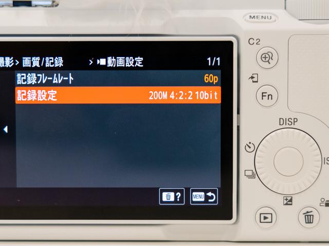 20230317-DSC00604