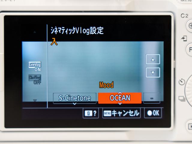 20230317-DSC00610
