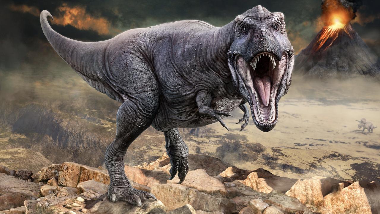ティラノサウルスには唇があった？ 牙剥き出しのイメージにさよなら