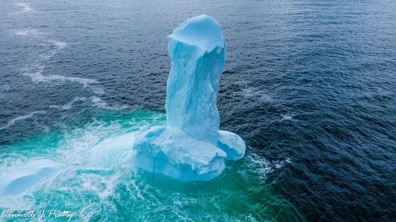 海に浮かぶ巨大な男根、カナダで発見