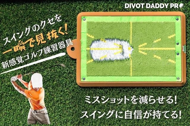 DIVOTDADDYPROend02