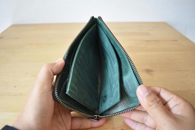 TIDYSLIMreview02