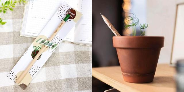 努力が本当に実を結ぶかも｡土に植えると芽が出る鉛筆