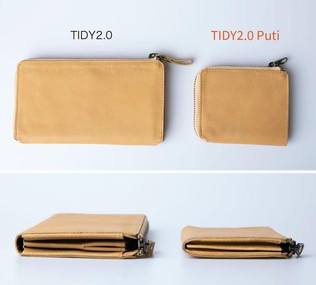 TIDY2.0Putinend01