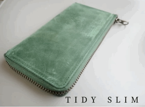 TIDYSLIMreview201