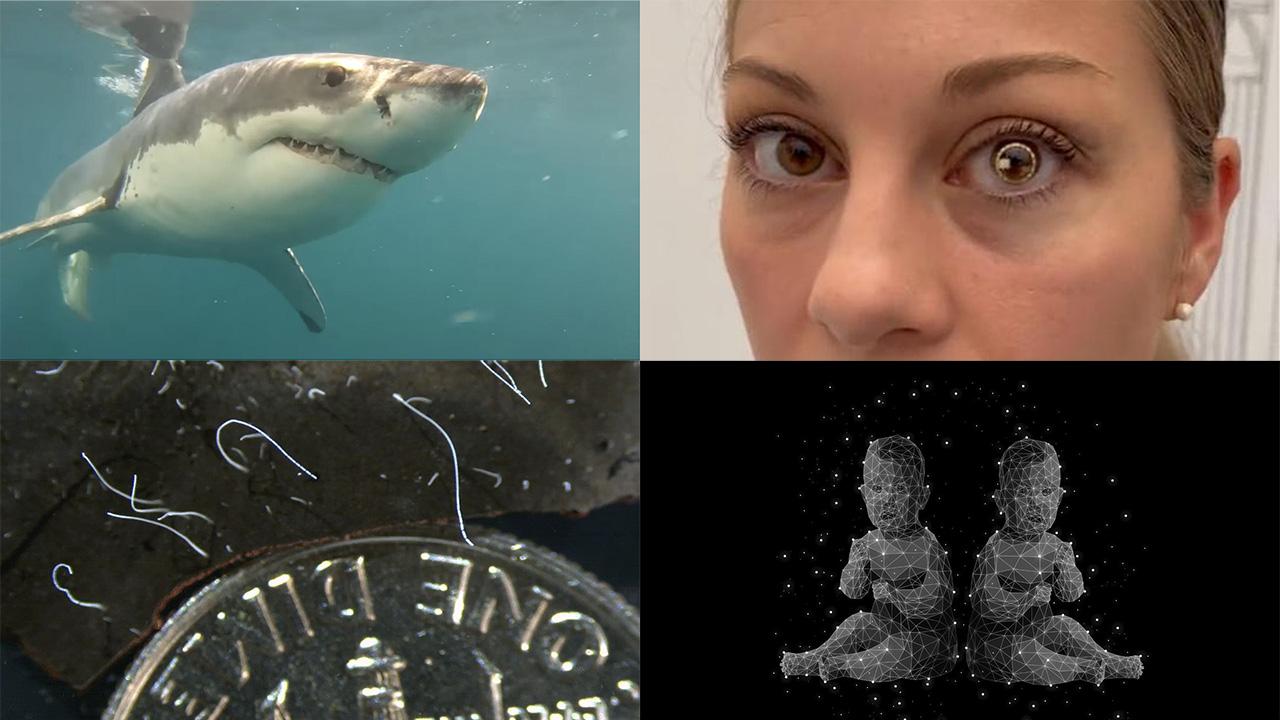 そんなことある？｣ってなるけど本当にあった話5選 | ギズモード・ジャパン