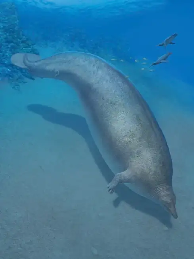 20230803whale3
