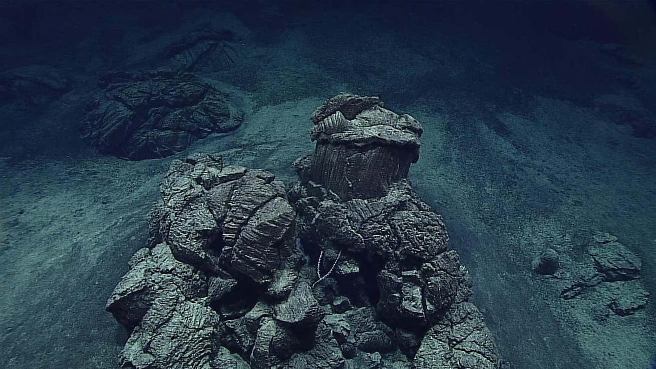 水深8,900メートル、史上最も深い場所で発見されたウイルス