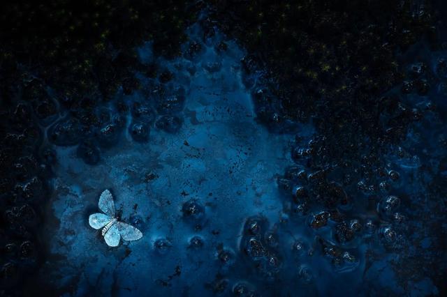 230927_naturettlphotos12