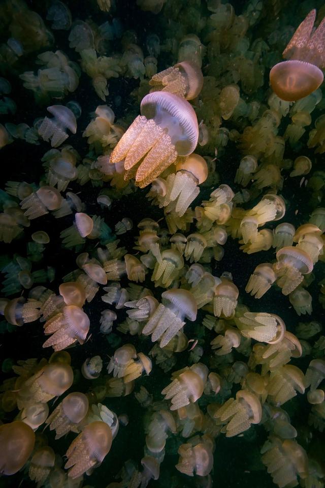 230927_naturettlphotos15