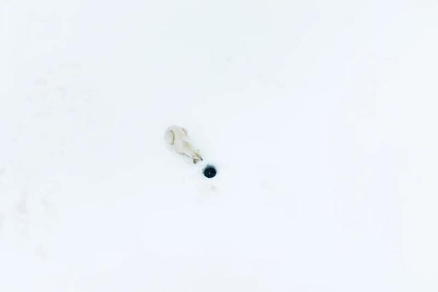 230927_naturettlphotos2