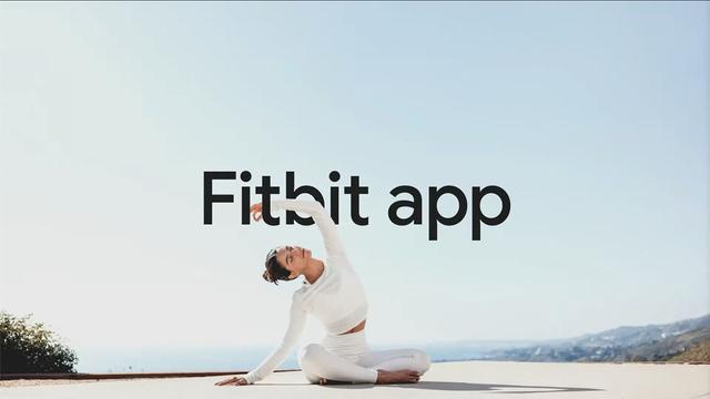 google-fitbit-app-update-personal-ai-001