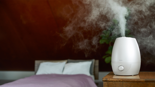 1回の給水で1日中潤う。シロカの｢5L加湿器｣なら毎日使い続けられそう