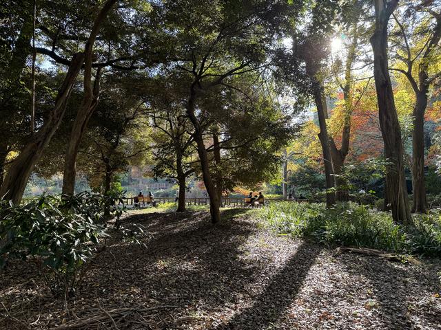 231203iphone15prophotoisgood_20