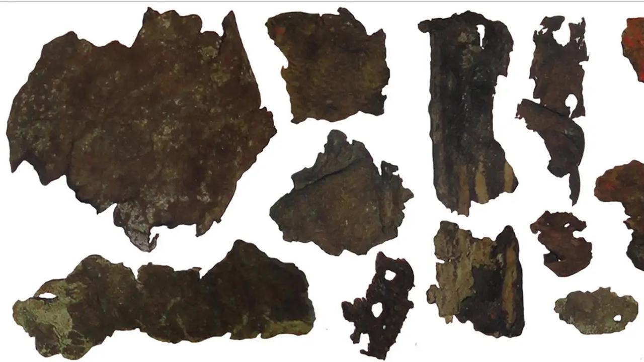 2500年前ごろの人物・釈迦が植えた木の樹皮:木の皮 2500年前ごろの人物・釈迦が植えた木の樹皮:木の皮
