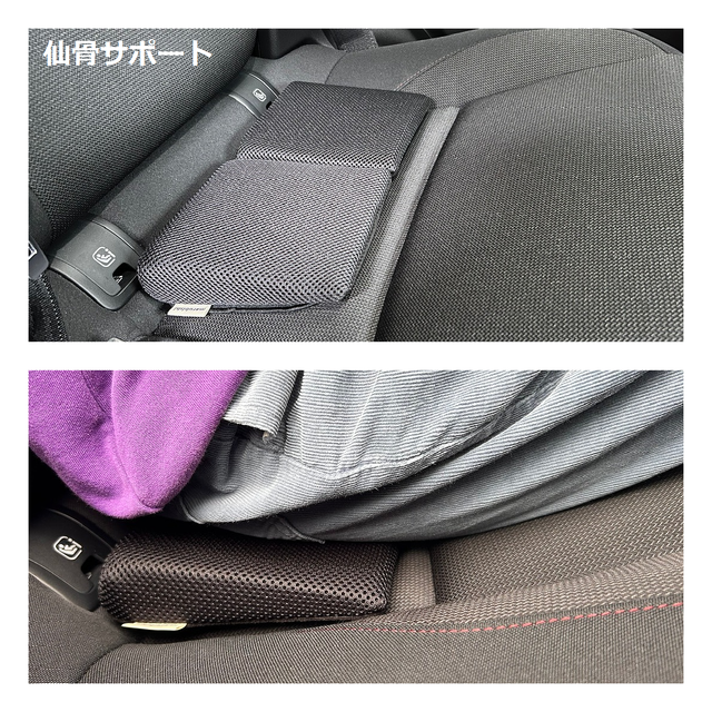 仙骨-1